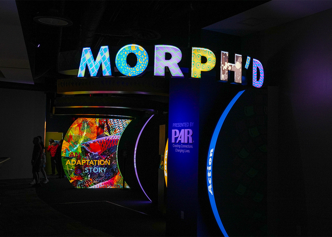 MORPH'D an adaptation story presented by PAR creating connections. changing lives.