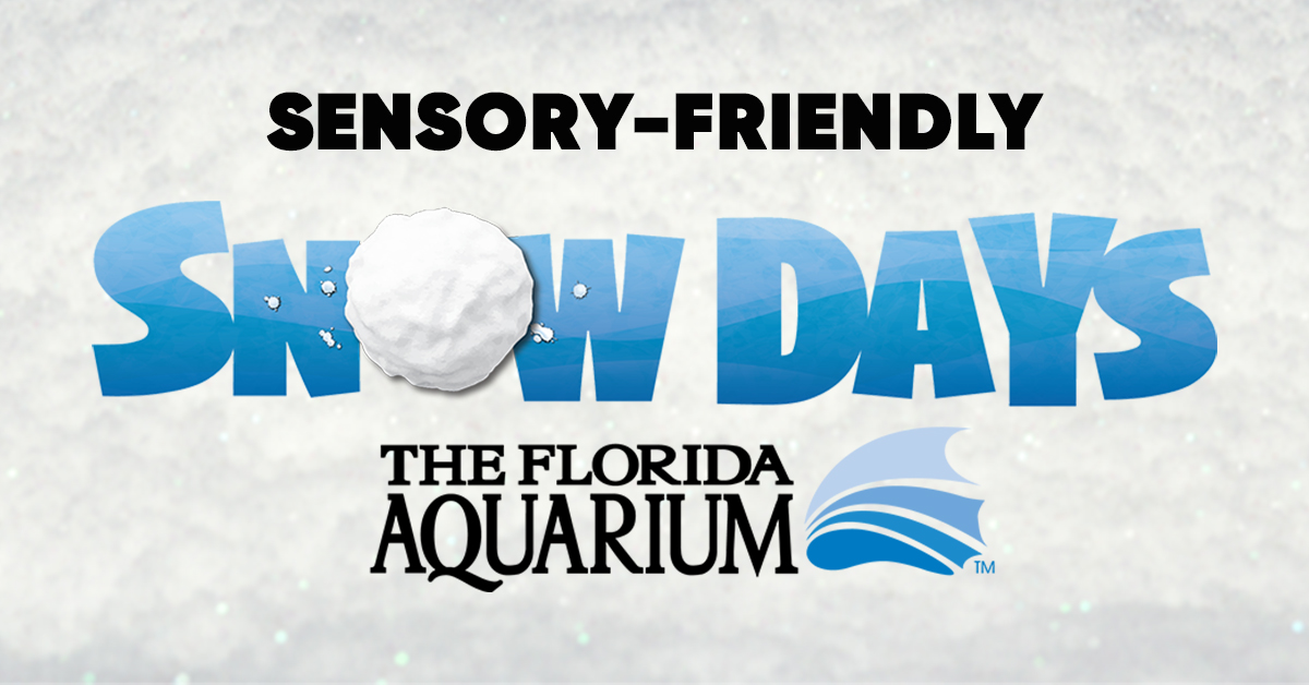 sensory-friendly snow days the florida aquarium