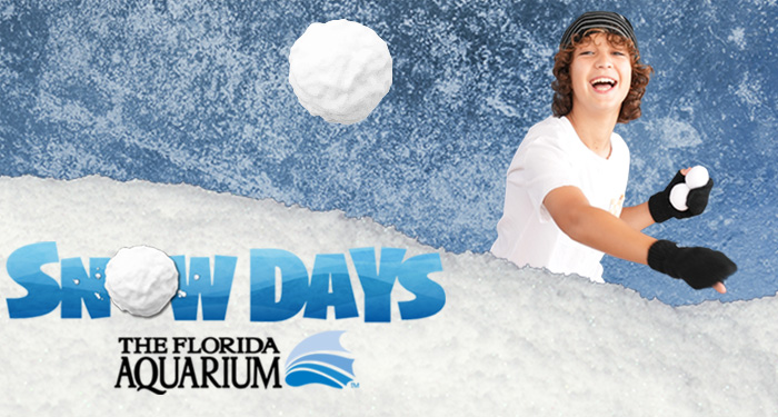 boy throwing snowball with snow days the florida aquarium in text