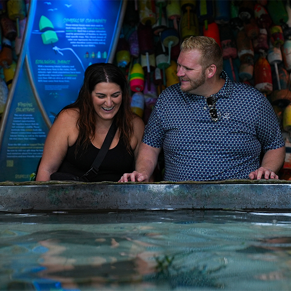 man and woman laughing in front of stingray habitat