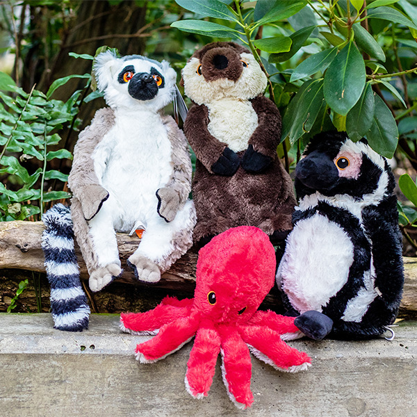 ring tail lemur plush, river otter plush, octopus plus, and african penguin plush on a cement bench in front of trees