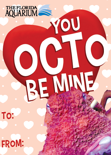 'you octo be mine' valentine's card with a picture of a giant Pacific octopus