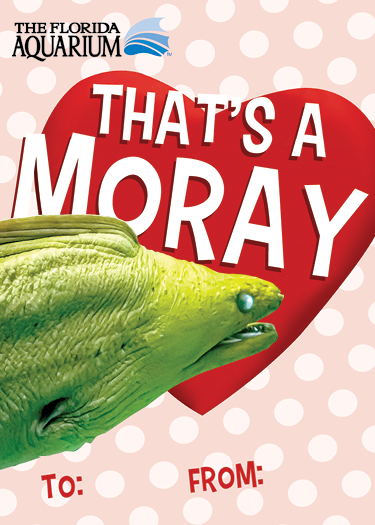 'that's a moray' valentine's card with a picture of a moray eel