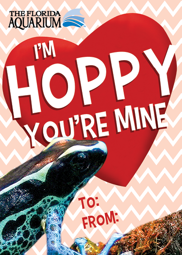 'i'm hoppy you're mine' valentine's card with a picture of a poison dart frog
