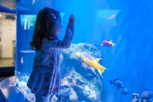 Little girl in dress with hands and face against the glass watching fish swimming