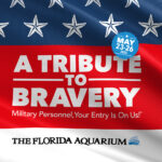 Memorial Day at the Aquarium