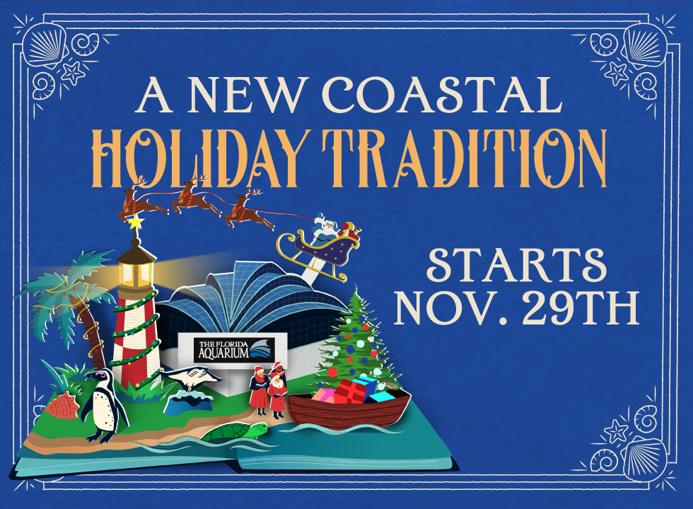 A new coastal holiday traditions starts November 29, 2024