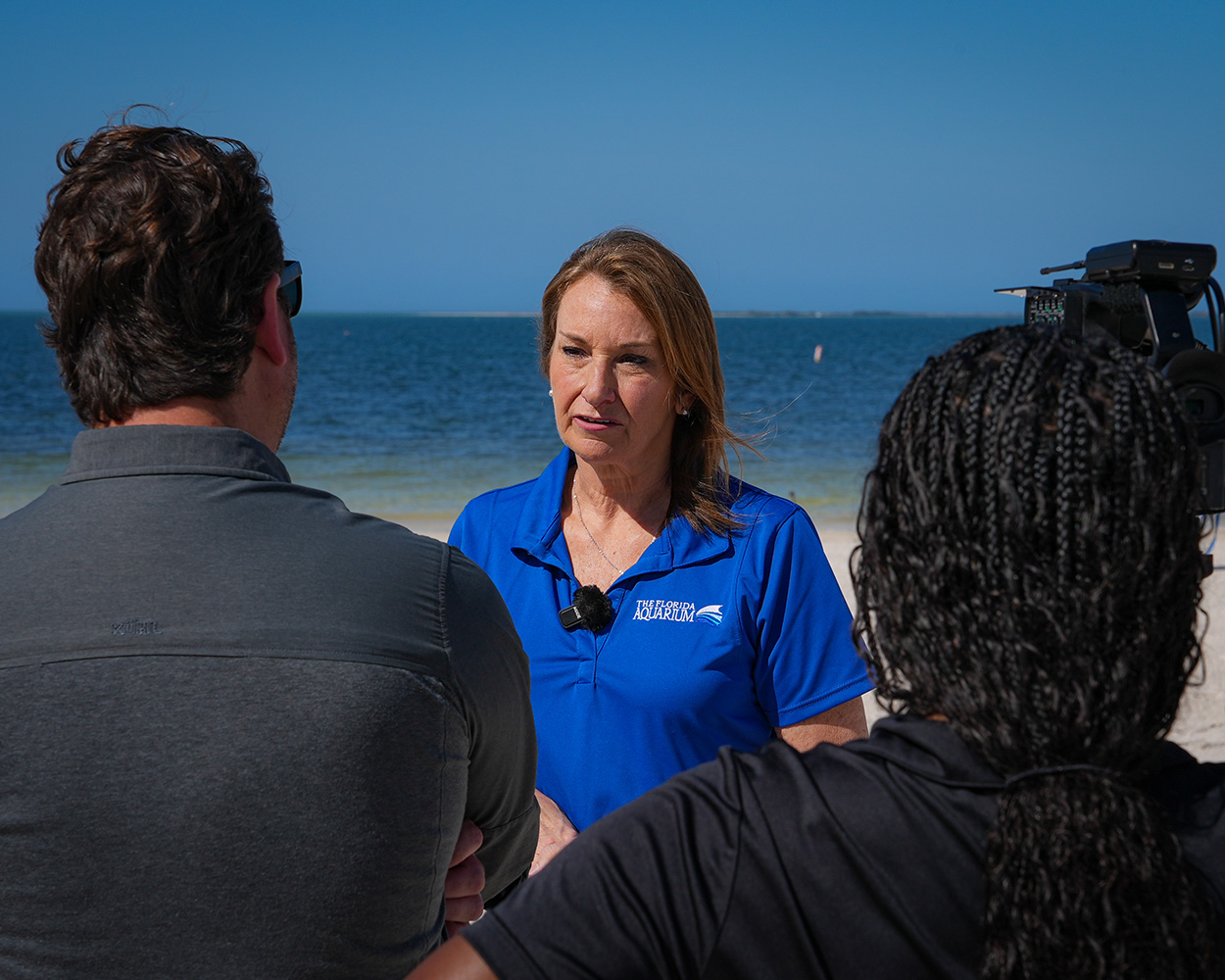 Debborah Luke,Ph.D., SVP of Conservation at The Florida Aquarium being interviewed at a sea turtle release_1250x1000
