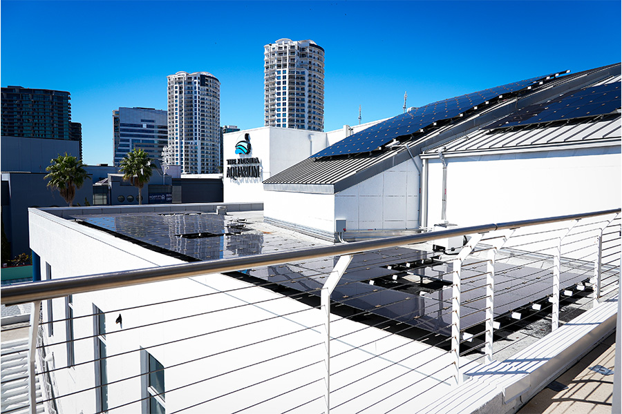 The Florida Aquarium rooftop with solar panels