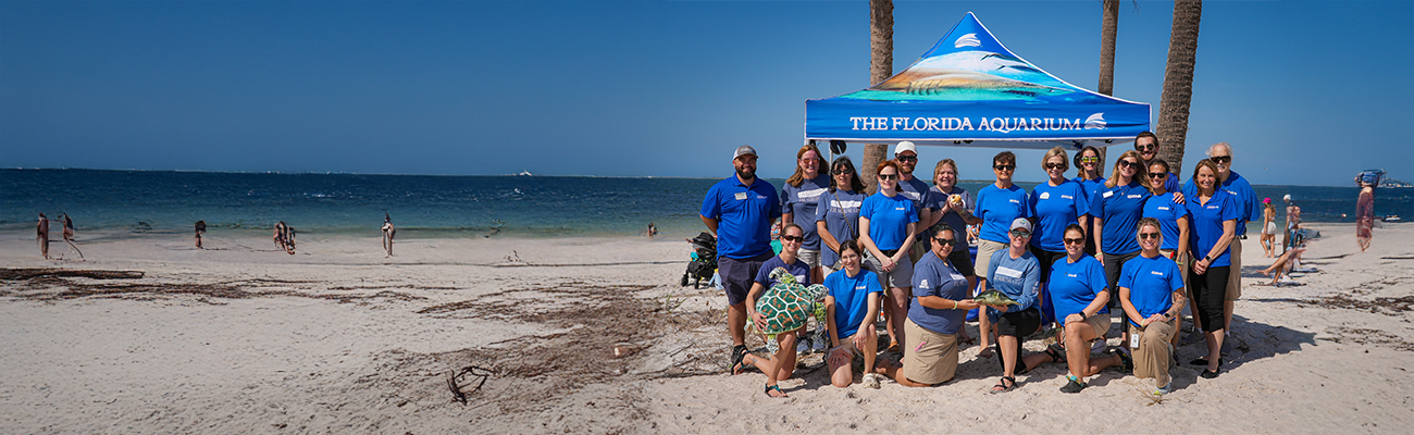 The Florida Aquarium_sea turtle rehabilitation and release team