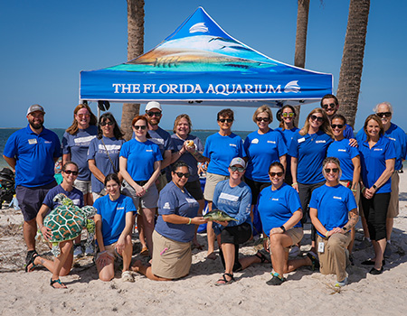 The Florida Aquarium_sea turtle rehabilitation and release team