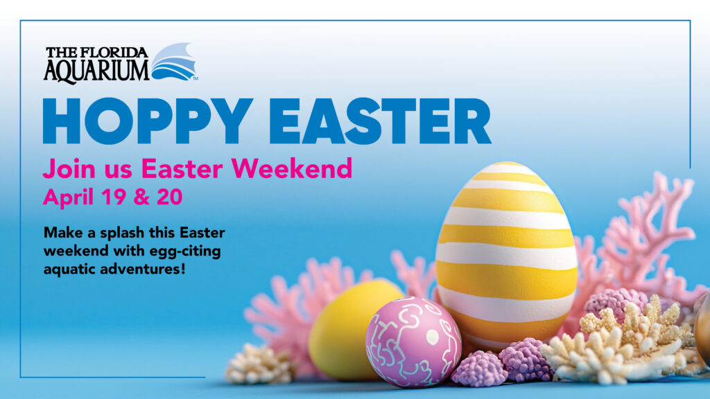 Easter Weekend at the Florida Aquarium