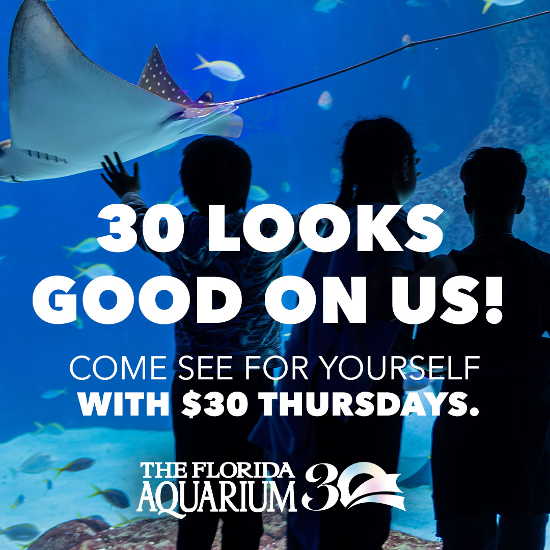 $30 Thursdays
