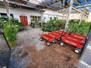 Little Red Wagon Nursery