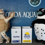 Rocky and Tango donating to the Cereal for Summer boxes at the Florida Aquarium