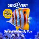 Day of discovery at the Florida Aquarium on June 21st from 8-9am