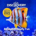 Day of discovery at the Florida Aquarium on May 21st from 4:30-6:30pm