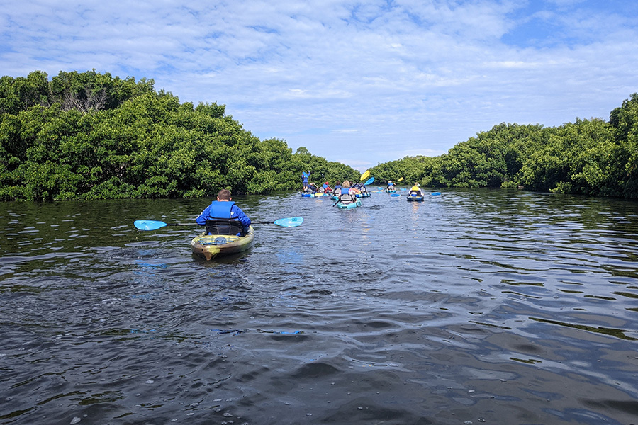 Campers kayaking during a summer camp with the Florida Aquarium Team