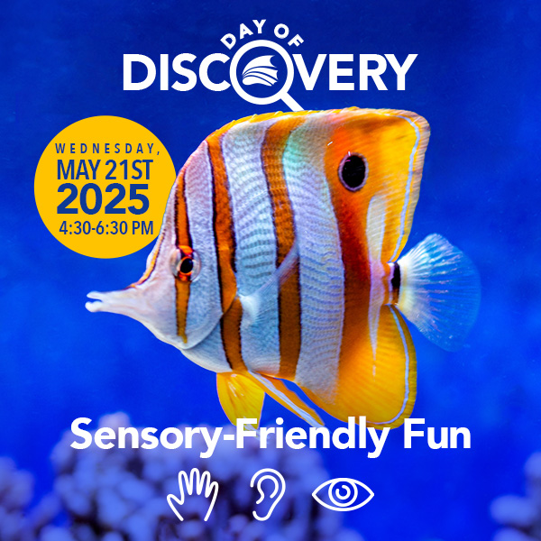 Day of Discovery for May 21st at The Florida Aquarium
