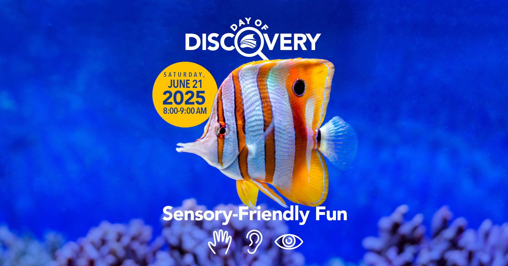 June 21st Day of Discovery at the Florida Aquarium