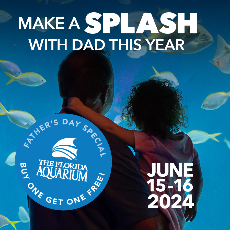 Father and child looking at fish for the Fathers Day offer at the Florida Aquarium