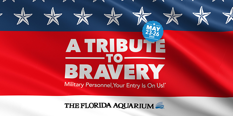 Memorial Day Weekend Promotion for The Florida Aquarium