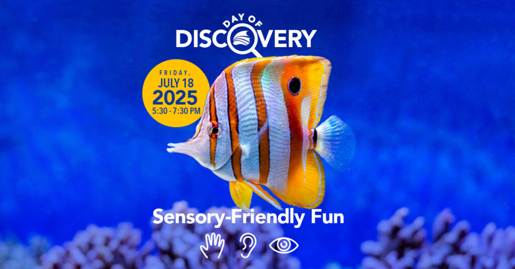 Day of Discovery on July 18th at The Florida Aquarium