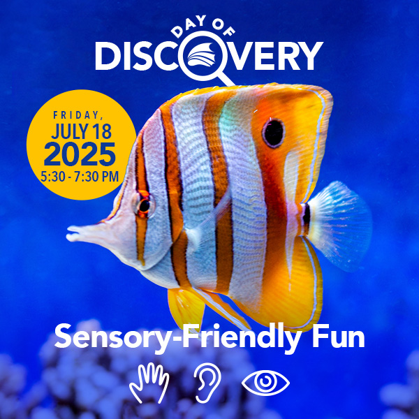 Day of Discovery on July 18th at The Florida Aquarium