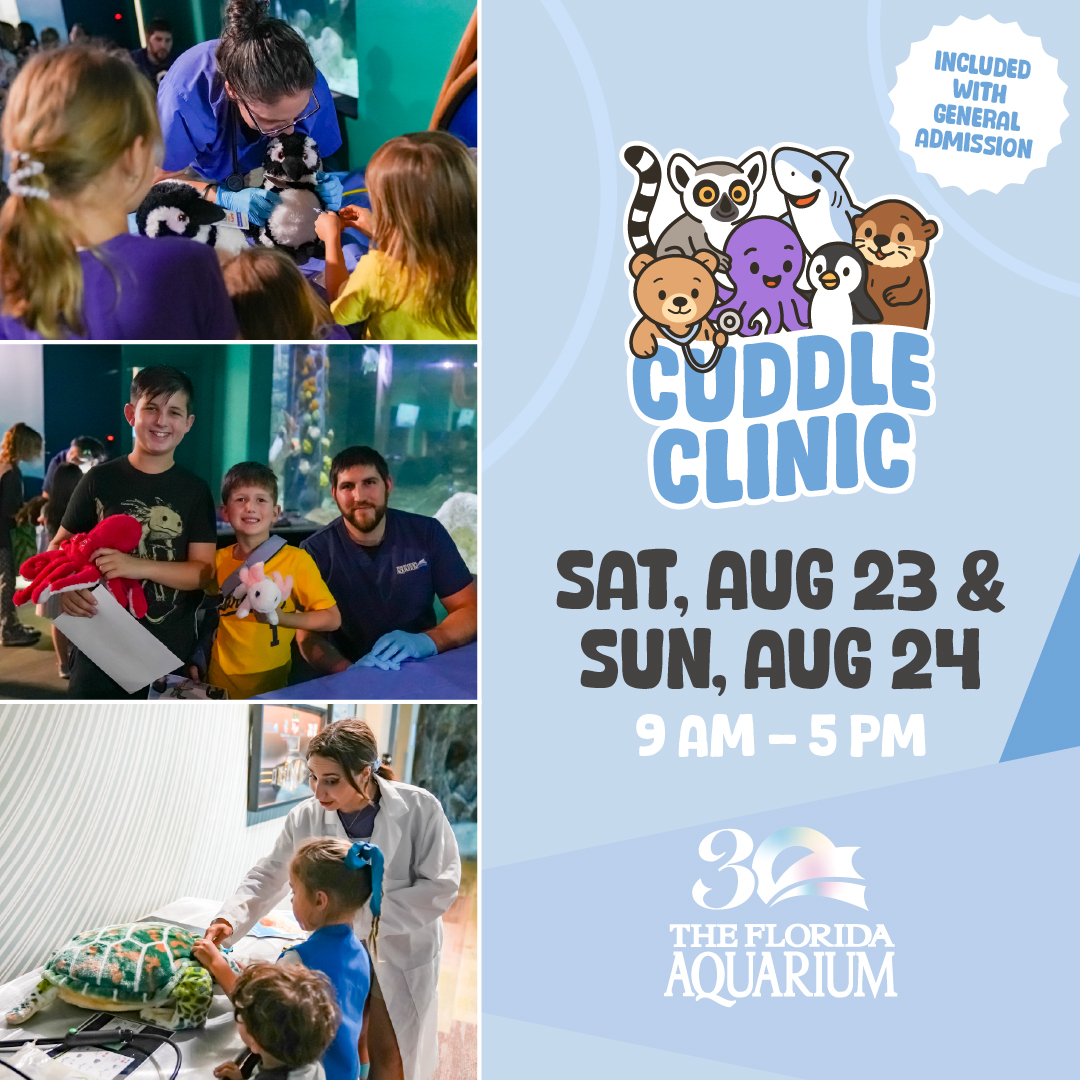 Cuddle Clinic promotion 1080x1080