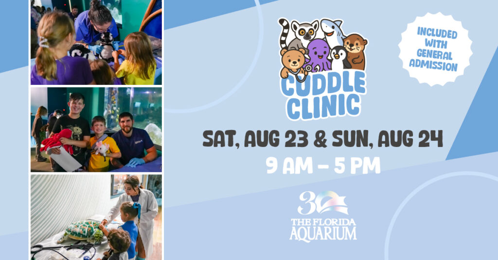 Cuddle Clinic promotion 1200x628