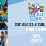 Cuddle Clinic promotion 1200x628