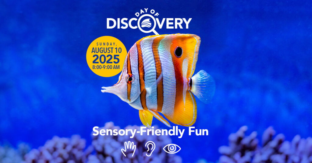 Day of Discovery August 10th at the Florida Aquarium