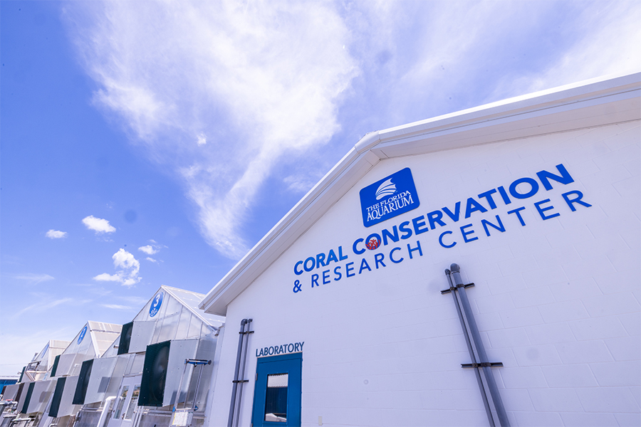 Coral Conservation and Research Center in Apollo Beach Florida
