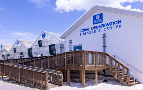 The Florida Aquarium Coral Conservation and Research Center in Apollo Beach Florida