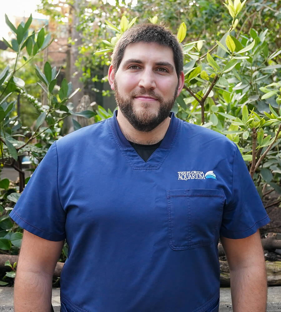 John Mastrobuono, VMD