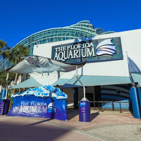 The Florida Aquarium photo from the official site
