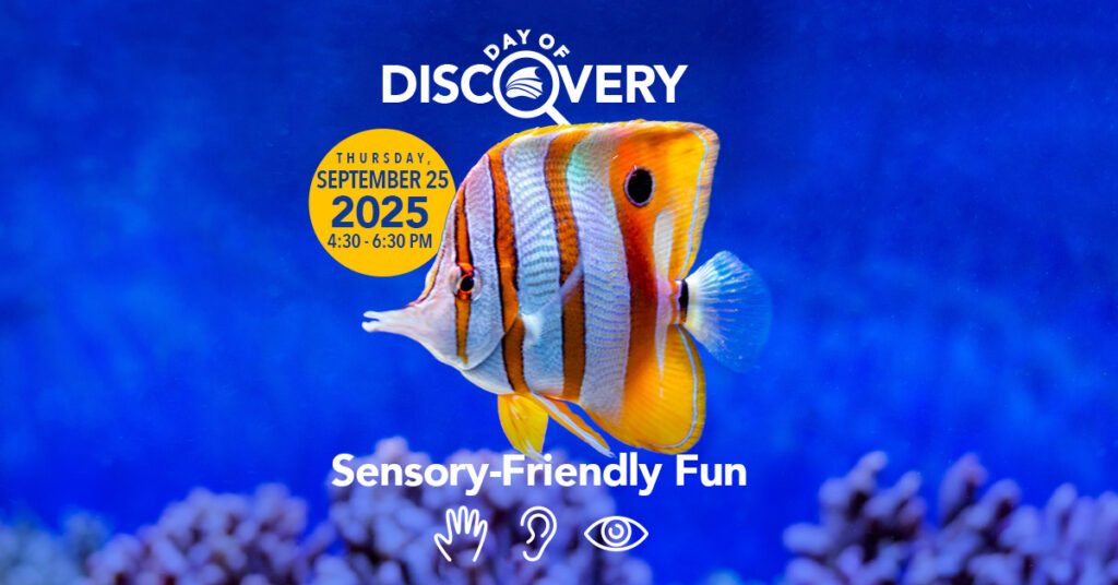 Day of Discovery on September 25th at the Florida Aquarium