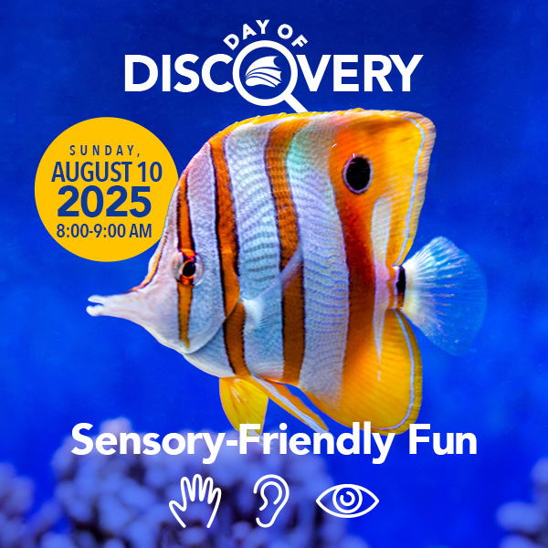 Day of Discovery August 10th at the Florida Aquarium