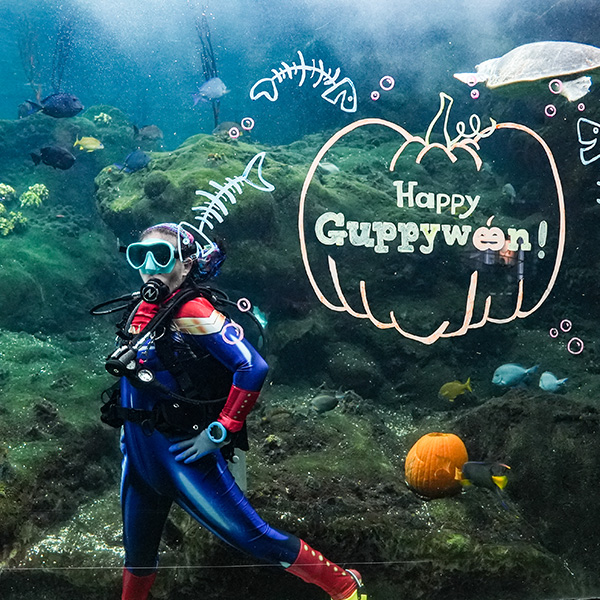 Guppyween 2024 costumed diver poses