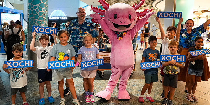 Xochi the axolotl name announcement at The Florida Aquarium