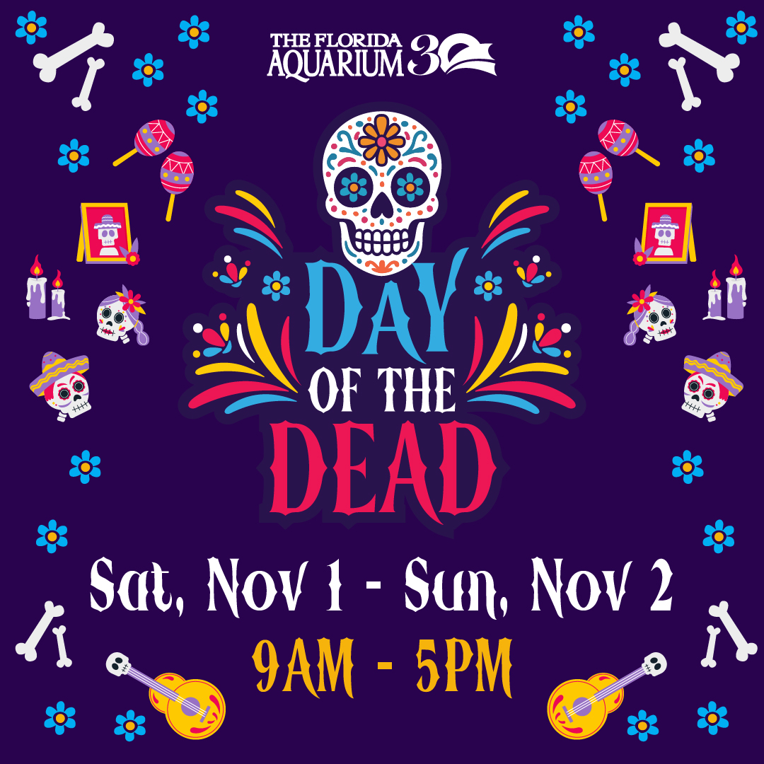 Day of the Dead celebration at The Florida Aquarium