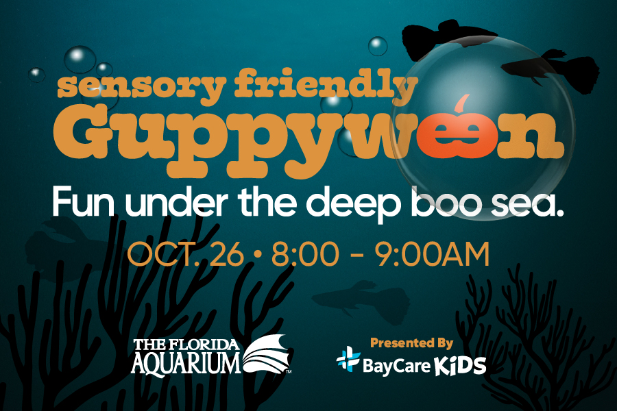 Sensory friendly Guppyween at the Florida Aquarium