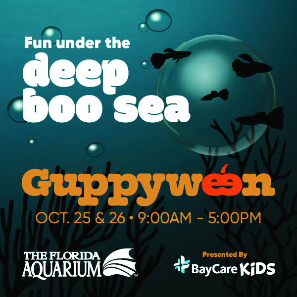Guppyween at the Florida Aquarium