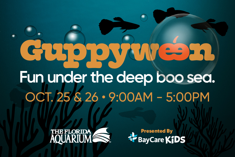 Guppyween at the Florida Aquarium