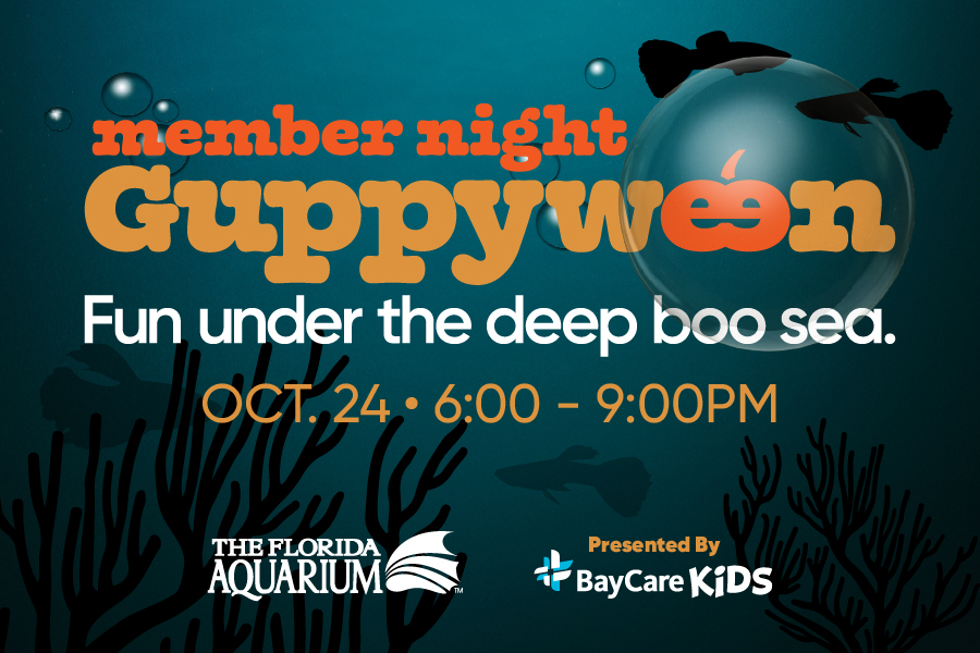Member Night Guppyween at the Florida Aquarium