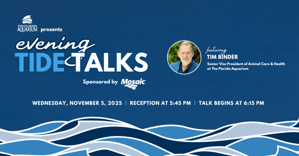 Evening Tide Talks with Tim Binder