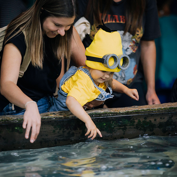 Little girl and mom at the Stingray Beach at the Florida Aquarium Guppyween