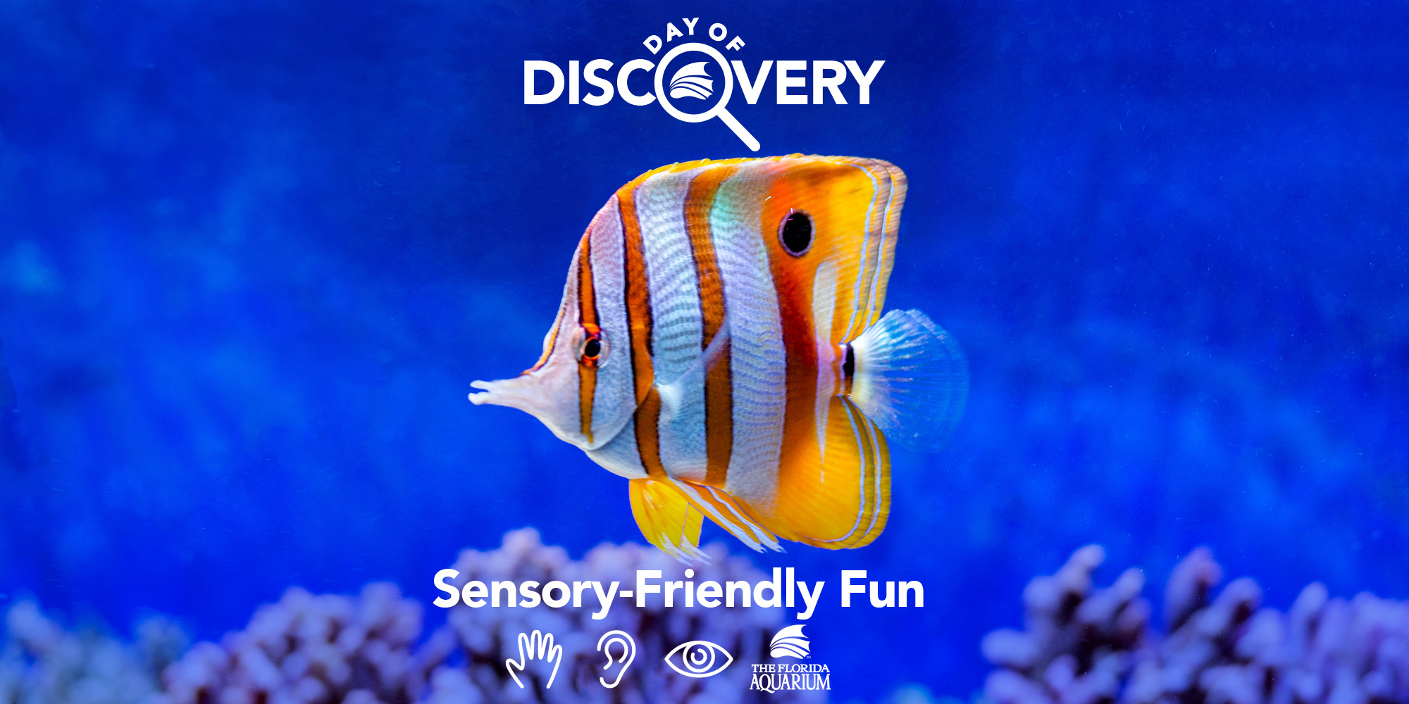 The Florida Aquarium Day of Discovery Sensory Family Fun