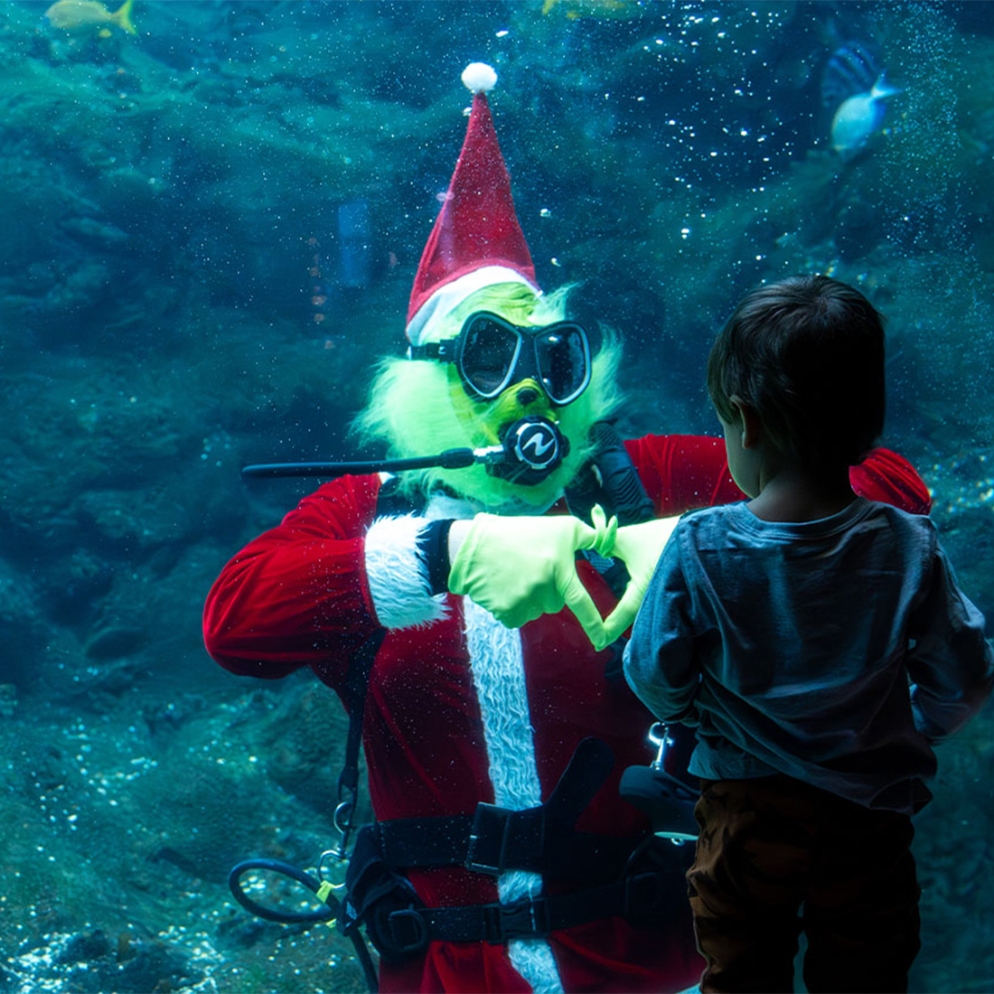 The Florida Aquarium diver dressed in Grinch costumer making a heart with his hands as a young boy watches