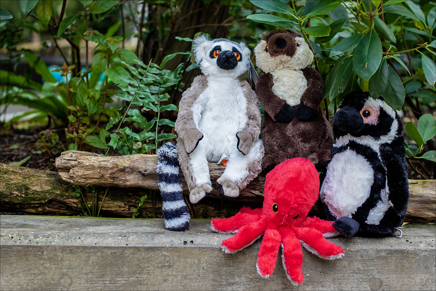 Stuffed animals at the Florida Aquarium